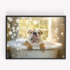 Funny english bulldog in a bath Print Picture Poster Unframed A4 bathroom dog