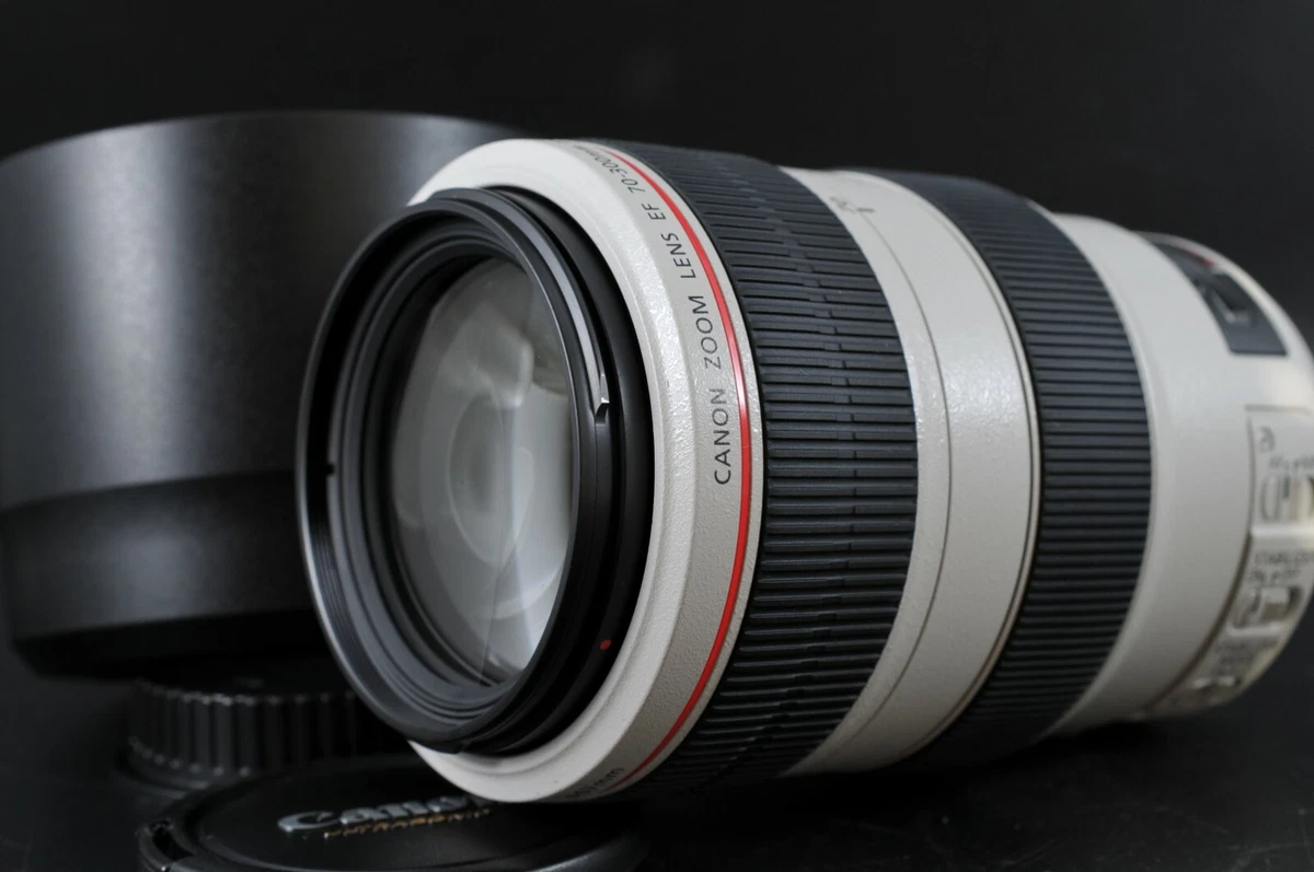 Lente Canon EF 70-300mm f/4-5.6L IS USM - Foto e Video