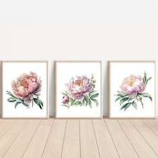 Set of Peony ART PRINTS Wall picture Home Art (A4 Sized, unframed)