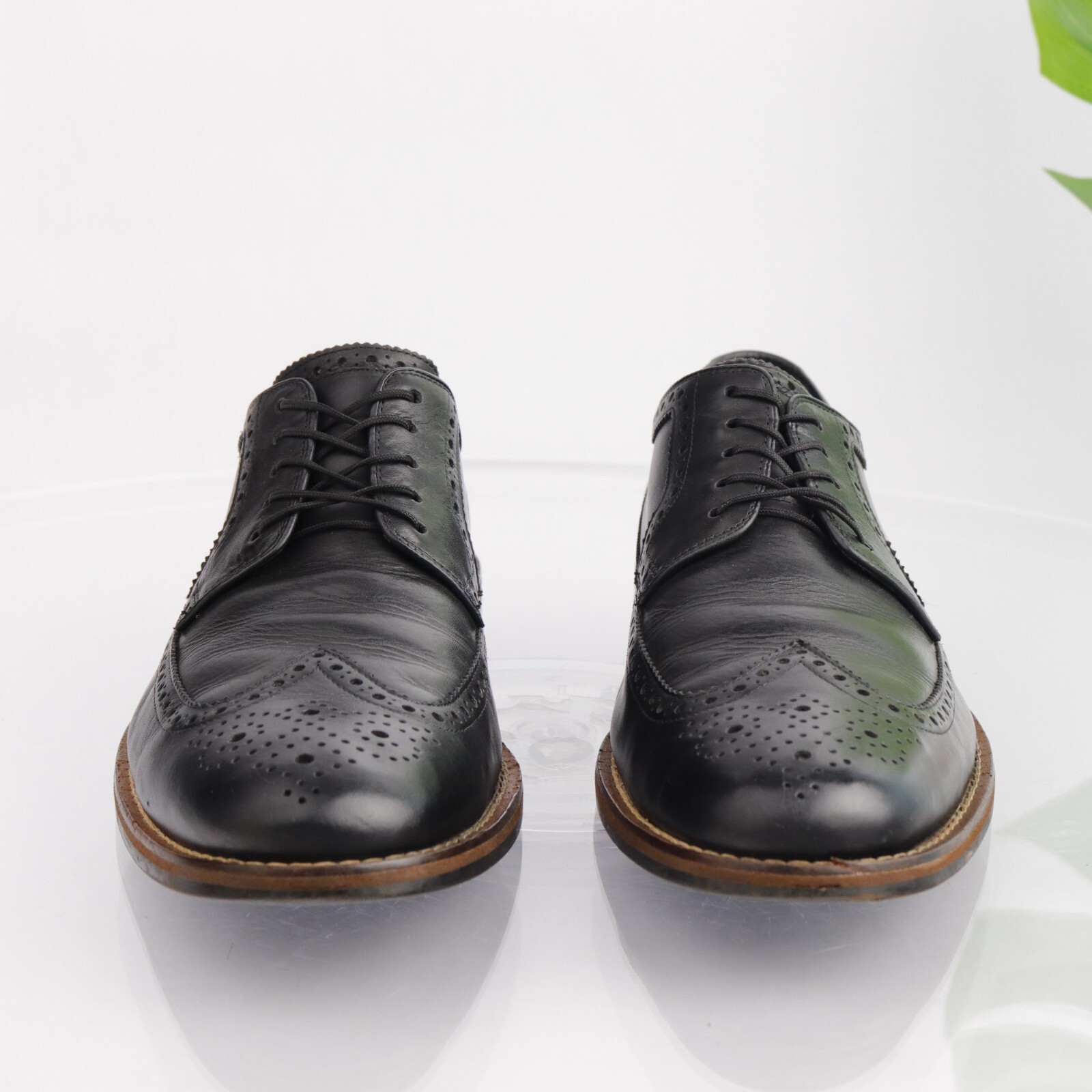 SAOLA Cole Haan Mens Oxford Size 12 M Wingtip Black Leather Brogue Derby Dress Shoe