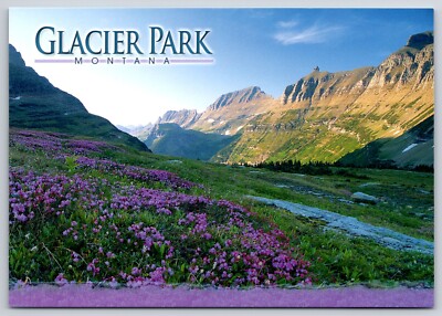 Garden Wall Logan Pass View Wildflower Glacier National Park MT Postcard UNP 6x4