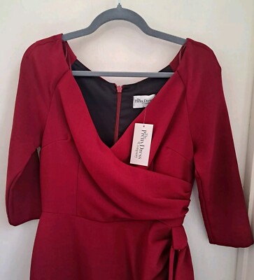 open lace back dress Andry Sheath Dress in Venetian Red | Women's Office & TV Wear main image 0