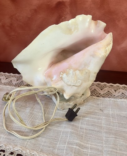Vintage Conch Shell Lamp Light — Real Seashell Nautical Coastal Beach Decor