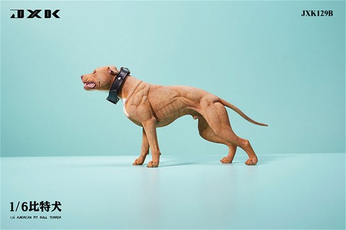 JXK American Pit Bull Terrier Hund Modell 1/6 Tier Figur Haustier Statue Deko - Bild 16 von 20