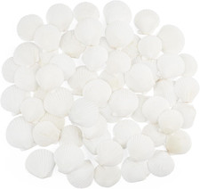 60 PCS Scallop Shells Natural Seashell, 1.5" to 2" White Scallop Shells Small...