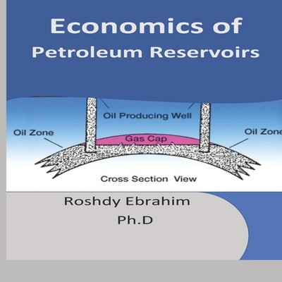 Economics of Petroleum Reservoirs Roshdy Ebrahim Paperback Amazon