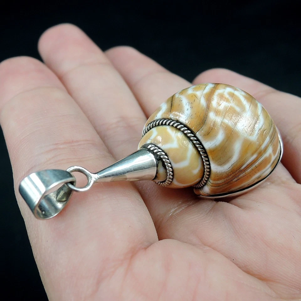 Ciondolo conchiglia a spirale marrone e bianco naturale in argento sterling... - Immagine 4 di 4