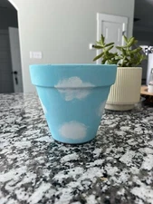 Custom Clay Flower Pot