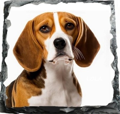 Beagle Hund Haustier Familie Felsenschiefer 14 cm x 14 cm Top Qualität Schiefer