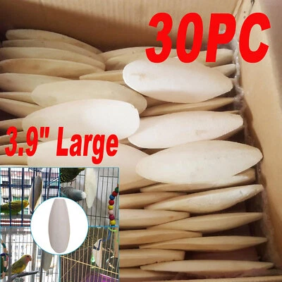 30PC 3.9" Large Cuttlebone Bone Sepia Fish Bird Food Calcium Parrot Chewing Toy