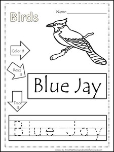 image is loading 12 birds laminated word tracing worksheet activities preschool