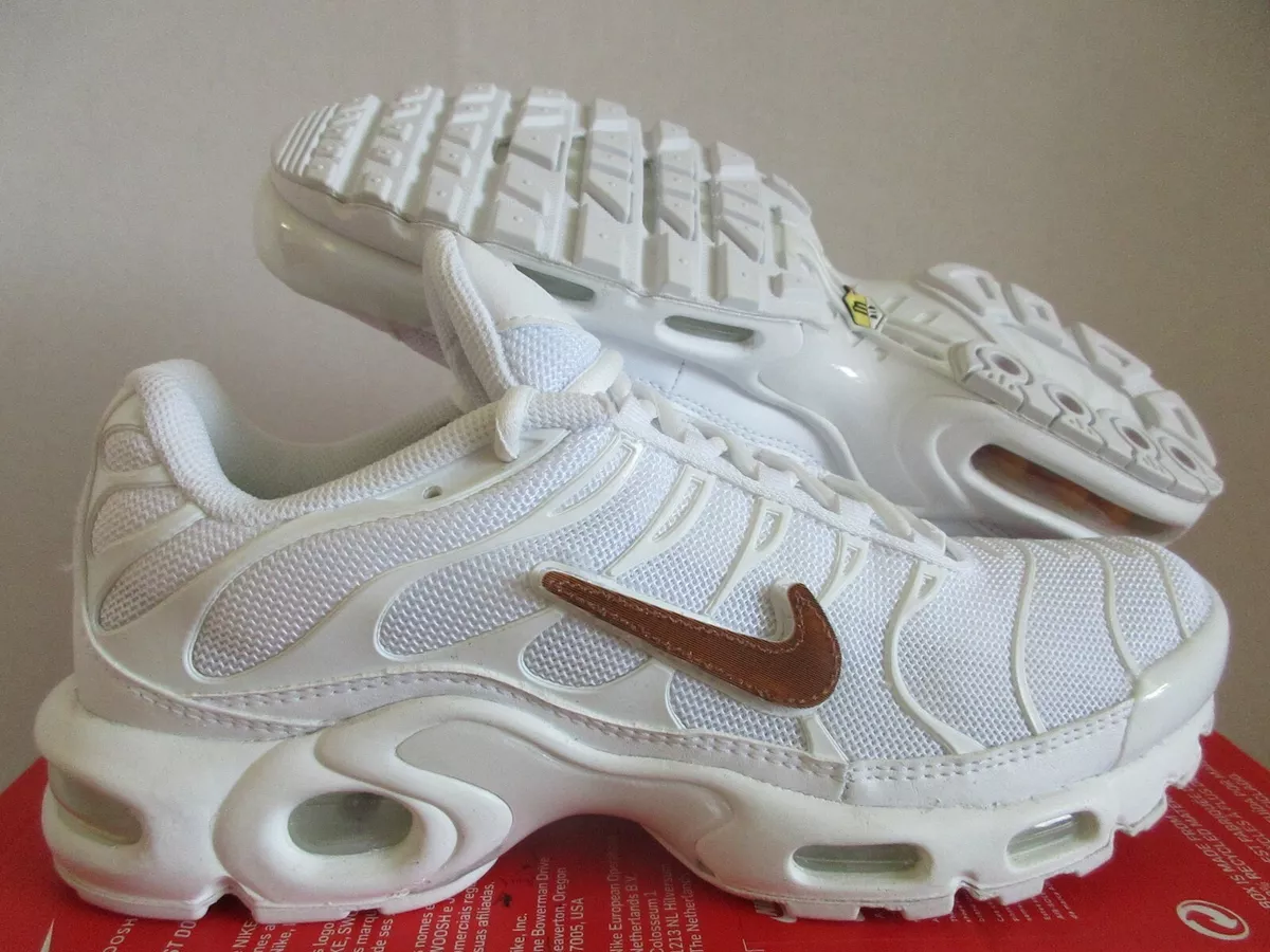 Nike Air Max Plus With Removable Swooshes Info