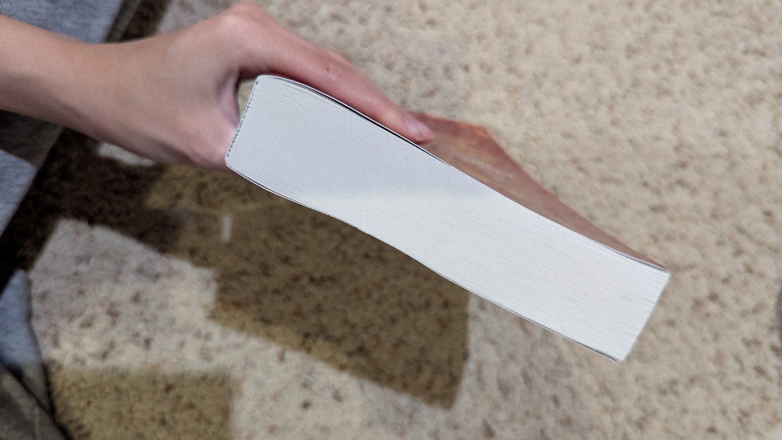 Six Wild Crowns by Holly Race ARC Advance Readers' Edition 