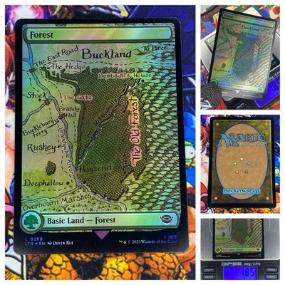 MTG Forest V.3   Nm Full Art Map Land FOIL Lord of the Rings : ToME OG