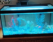 Aquarium Fish Tank LED Light Bar, White  Blue Extendable 18"- 24"