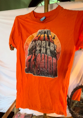 Vintage 80s Screen Stars Go To Hell World I m A Senior Tee Orange 50/50 USA