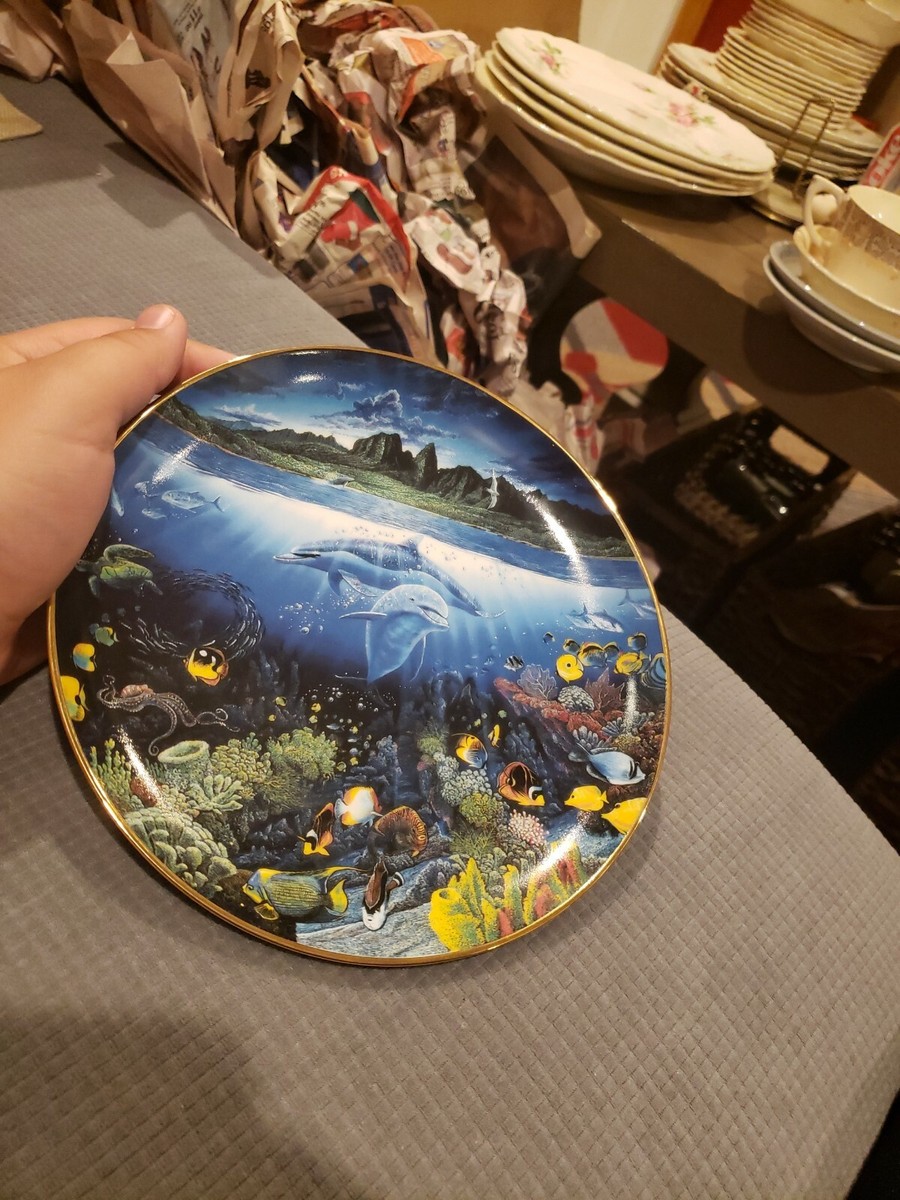 Danbury Mint A Discovery Off Anahola Plate Robert Lyn Nelson