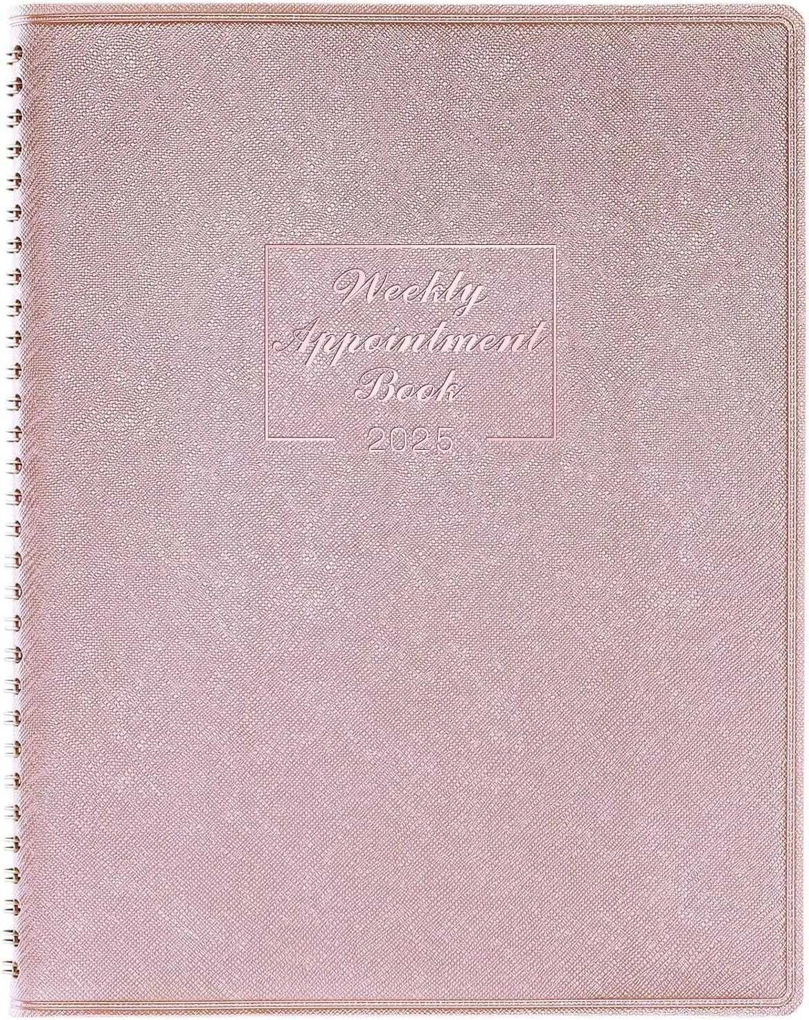 2025 Weekly Appointment Book - JAN 2025 - DEC 2025, Daily Hourly Planner 2025, 8