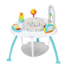 Smart Steps 3 in 1 activity center