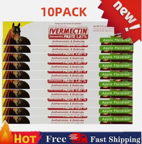 10X Paste Horse Dewormer - Apple Flavor