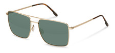 Rodenstock R1448 C150 gold, havana 59/17/145 Men's Sunglasses