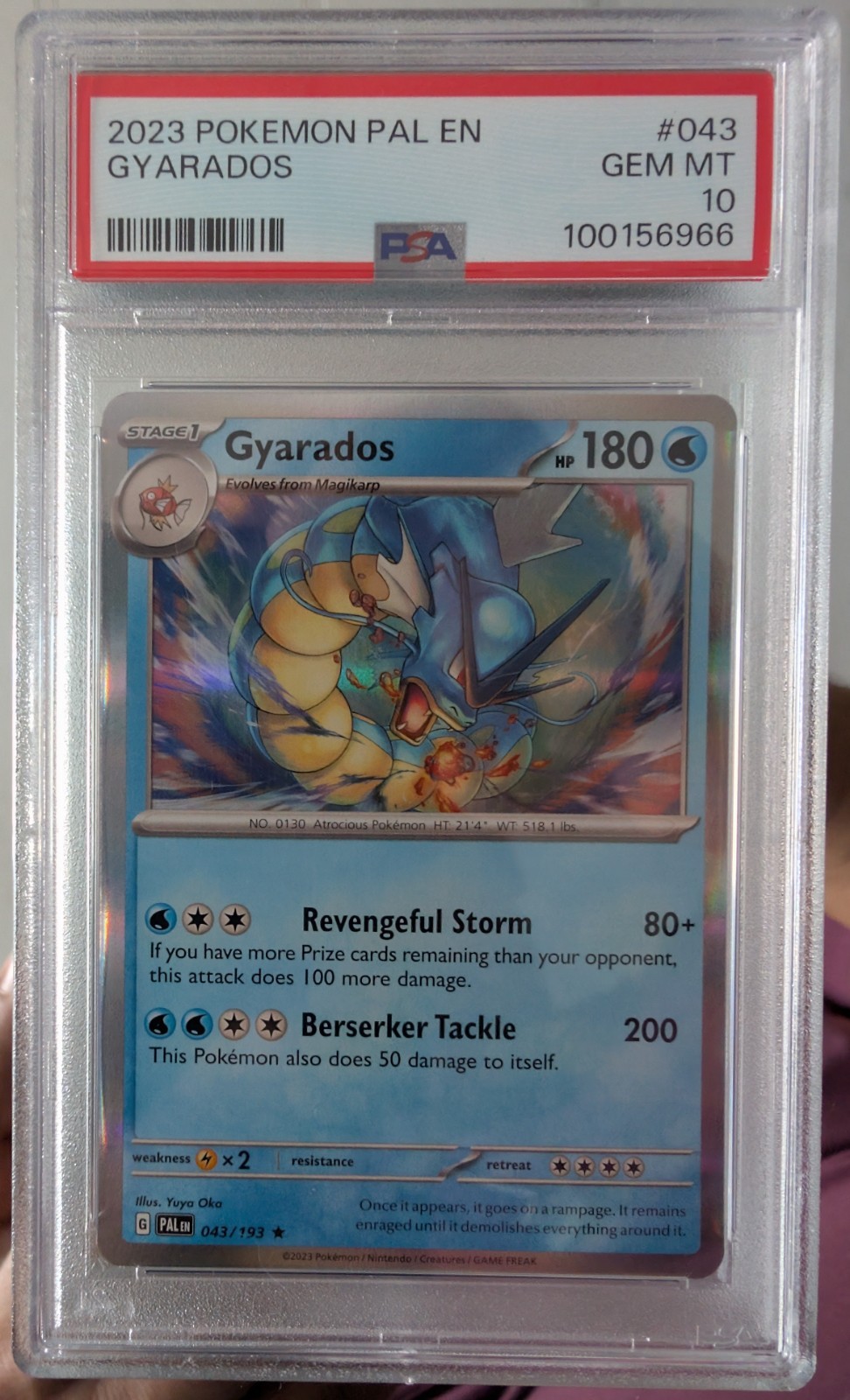 PSA 10 GYARADOS 043 2023 POKEMON PAL EN-PALDEA EVOLVED