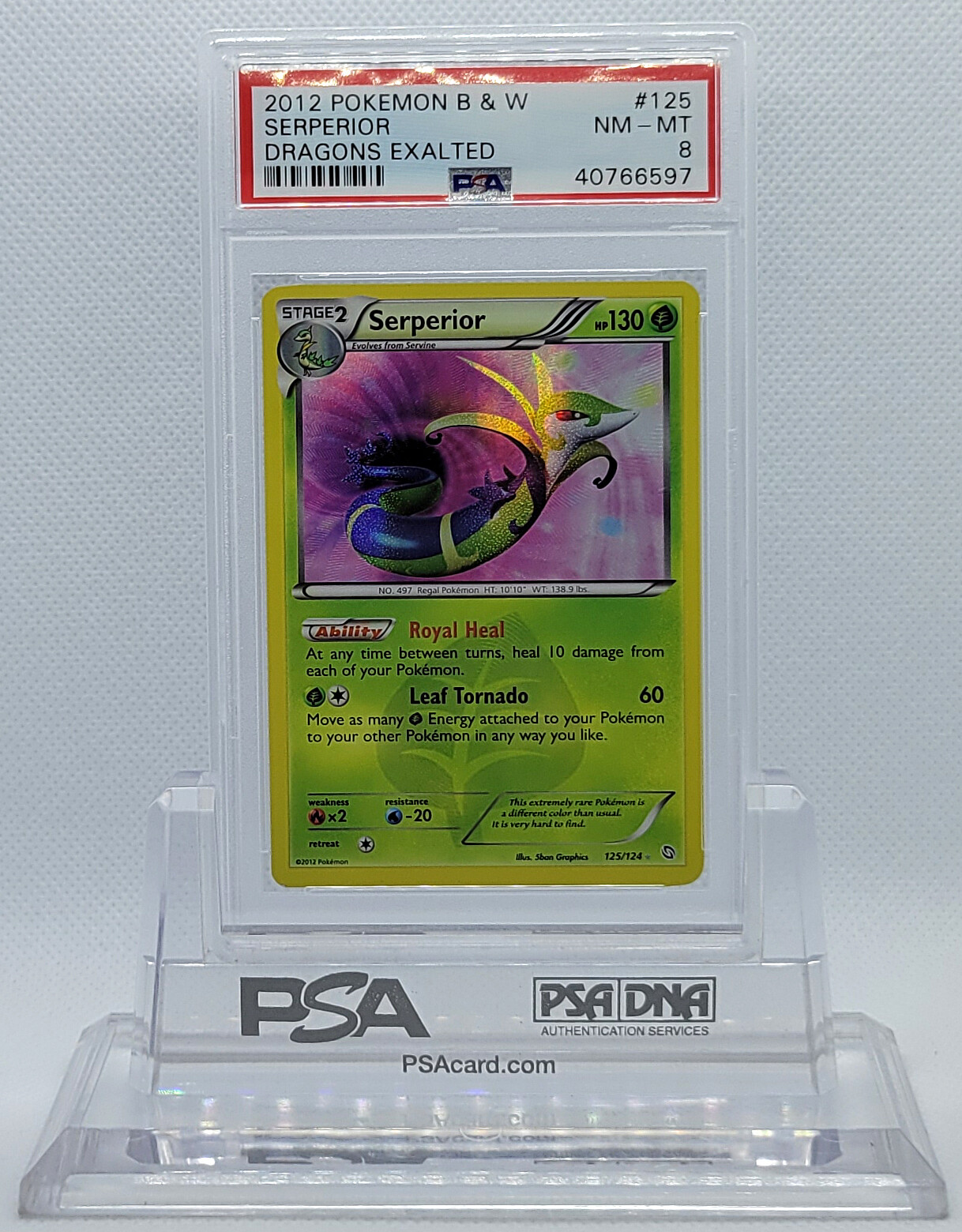 POKEMON DRAGONS EXALTED SERPERIOR #125 SECRET RARE HOLO FOIL CARD PSA 8 NM-MT #*