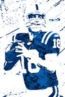 Peyton Manning Indianapolis Colts Art Wall Indoor Room Poster - POSTER 20x30