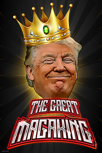 President of the United States Donald Trump The Great MAGA King Patriotic  Poster