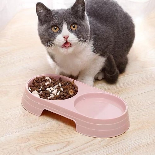 Dual Bowl Pet Feeder for Cats - Picture 4 of 9