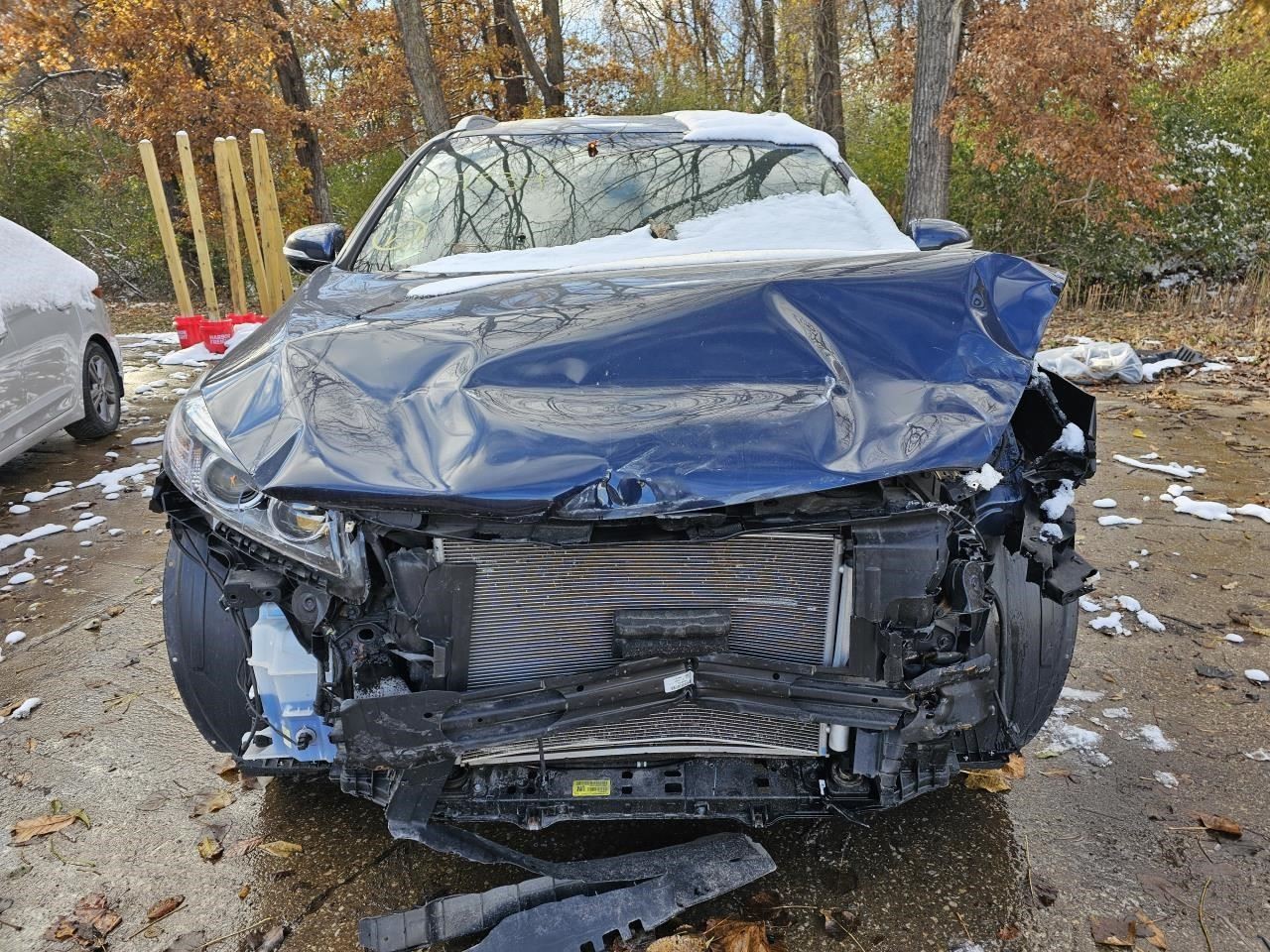 Picture 3