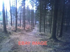 PHOTO  SOUTH HOLMWOOD REDLANDS WOOD VIEW FROM REDLANDS WOOD BACK DOWN TOWARDS CO