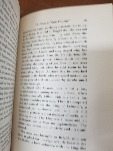 Sheed and Ward - St. Brigid of Ireland by Alice Curtayne (HC, 1954) - Picture 10 of 15