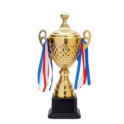 Large Gold Trophy Cup for Sports Competitions and Tournaments, 15.2 x7.5 x 4.75''