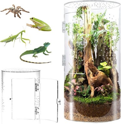 Front Opening Terrarium Jumping Spider 12*6*6in, High transparency 