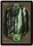 MTG Forest (UGL) L Unglued 88 HP