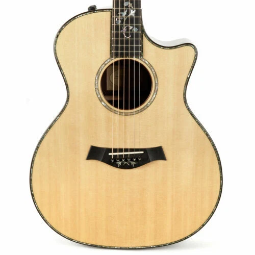 Taylor Akustik- & Westerngitarren