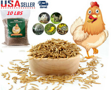 10Lbs Dried Mealworms for Birds Chickens Hamster Fish Pet Reptile Turtle Non-GMO