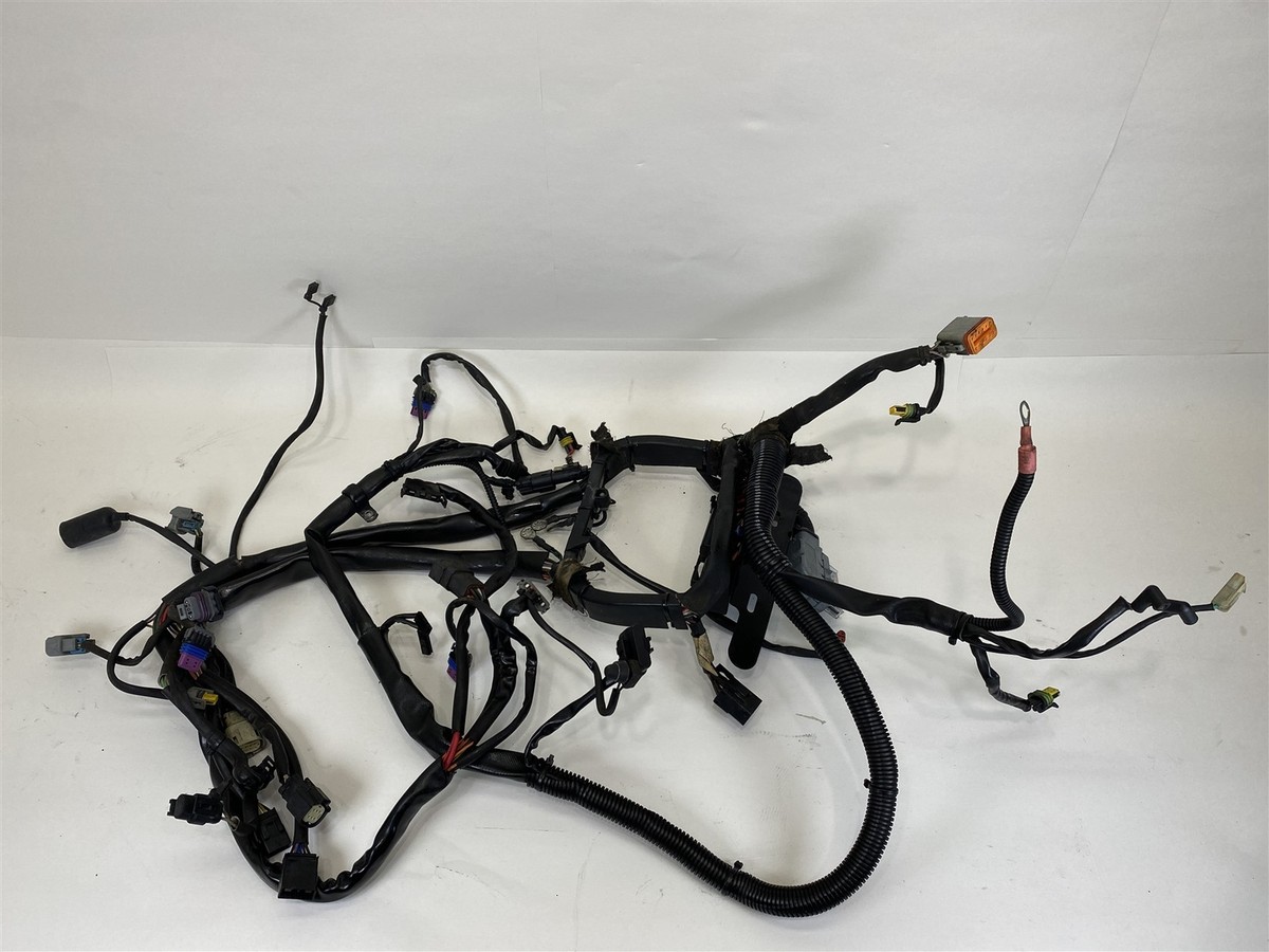 Harley-Davidson 2008 Softail Heritage Main Wiring Harness 70431