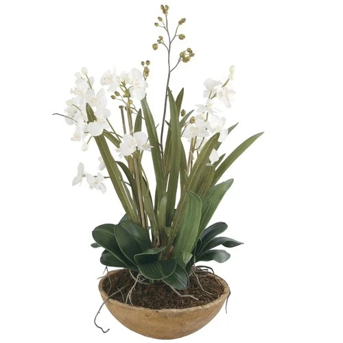 Moth Orchid - 33.5 inch Planter Accessories Uttermost 60039 - Picture 4 of 4