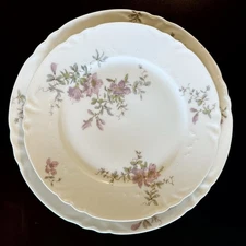 Charles Field Haviland Dinner Plate Salad Plates Set of 2 Limoges France Vtg