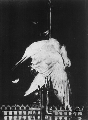 JOHN HEARTFIELD 洋書　作品集　アートブック　discharge JOHN HEARTFIELD 洋書 作品集 アートブック discharge - メルカリ