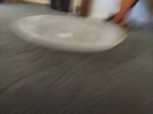Foto 7 di 7