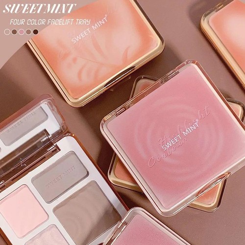 4Color AllinOne Blush Highlighter Disc for LongLasting Matte Finish and Lot T9 - Picture 3 of 16