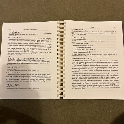 SSEA Publication: Middle Egyptian Grammar by James E. Hoch (1997