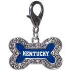Kentucky Wildcats Pet Jewelry Bone Dog Cat Tag Collar Bracelet Backpack Charm