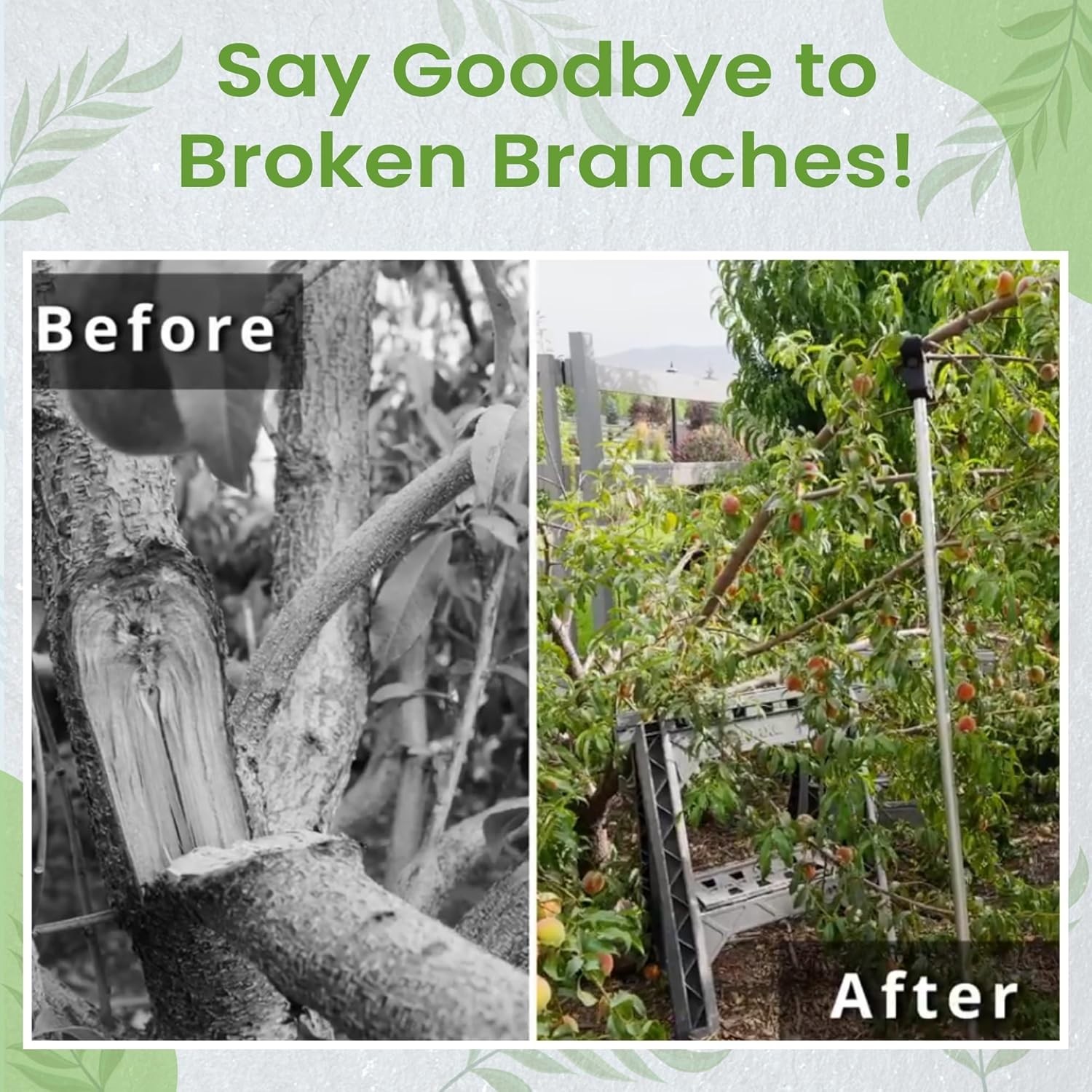 Adjustable Aluminum Tree Support Pole with Tree Crutch – Prevents Fruit Tree ...