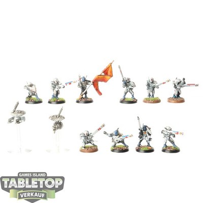 Tau Empire - 10 x Fire Warriors Strike Team - bemalt