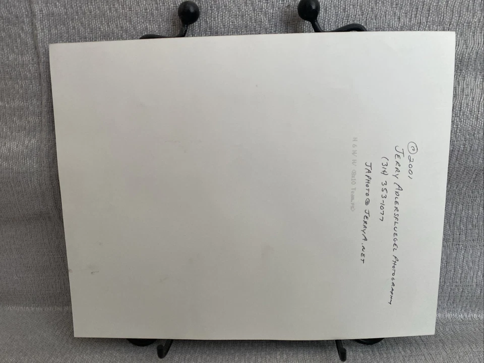 Foto del equipo de tenis del equipo mundial St. Louis ACES 2001 8"x10" ~ Andy Roddick/Davenpor Foto 4 de 4