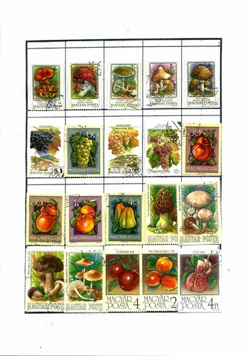 Stock Collection Stamps Used Hungary 82 Pages See Photo